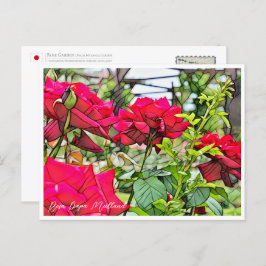 Rosa Papa Meilland Postkarte