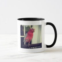 Rosa Papageien-Tasse