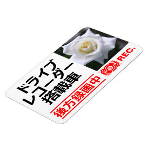 Rosa Pascali:Warning Magnet Plate(für Japanisch)