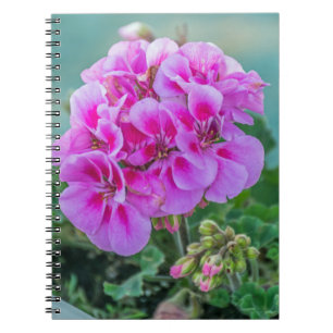 Rosa Pelargonienotizbuch Notizblock