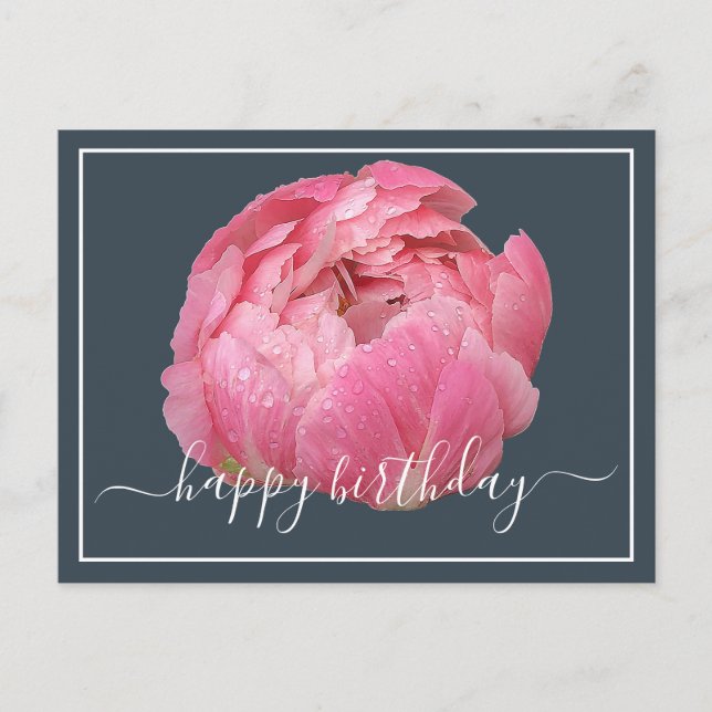 Rosa Peony mit Taubentropfen Grauer Hintergrund Ge Postkarte (Vorderseite)