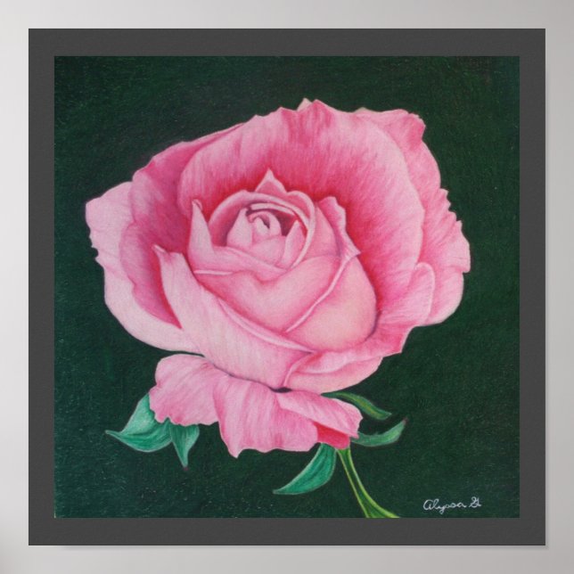 Rosa Petals 12"x12" Print Poster (Vorne)