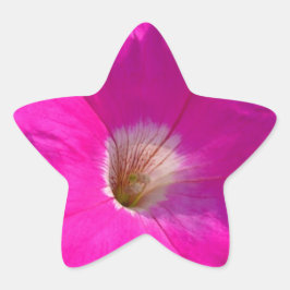 Rosa Petunia-Blume Stern-Aufkleber