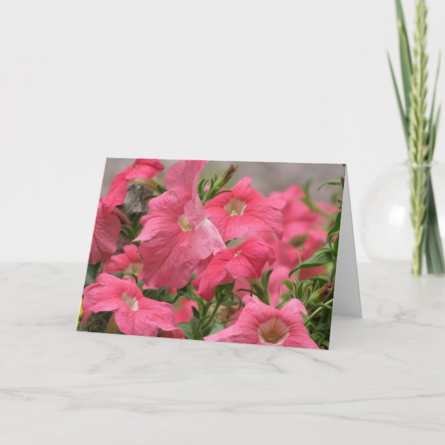 Rosa Petunien Karte (Vorderseite)