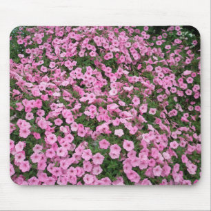 Rosa Petunien Mousepad