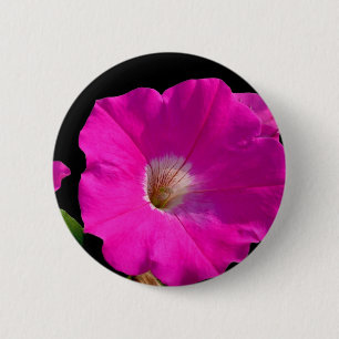 rosa Petunienblüte Button