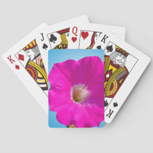 rosa Petunienblüte vor blauem Hintergrund. Spielkarten