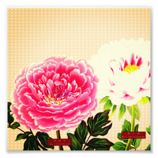 Rosa Pfannkuchen, Vintage Blume Fotodruck