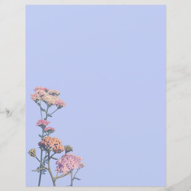 Rosa Pfeile auf lila Hintergrund (Vorderseite)