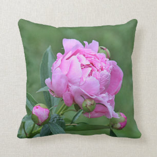 Rosa Pfingstrose Kissen