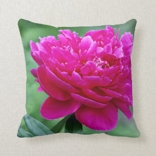 Rosa Pfingstrose Kissen