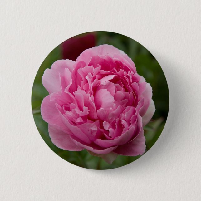 Rosa Pfingstrose | Rosa Pfingstrose Button (Vorderseite)