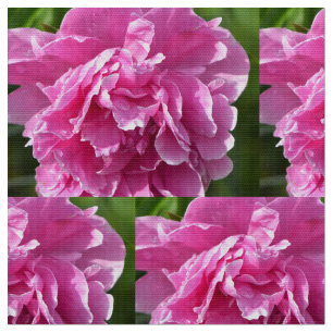 Rosa Pfingstrose Stoff