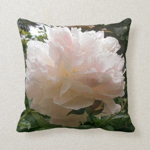 Rosa Pfingstrosen-Blüte Kissen