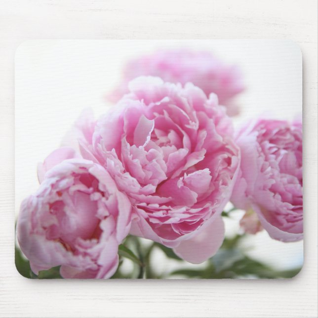 rosa Pfingstrosen mousepad (Vorne)