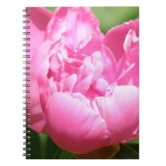 Rosa Pfingstrosen-Notizbuch Notizblock