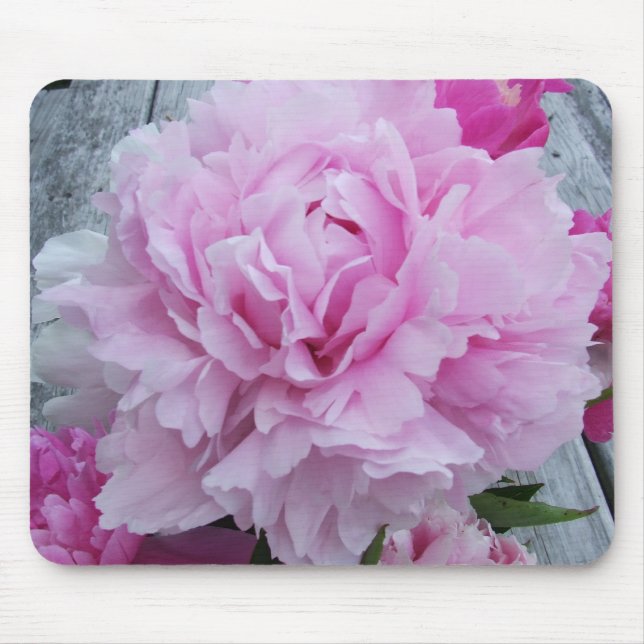 Rosa Pfingstrosen/Pfingstrosen-Blumen-Mäusematte Mousepad (Vorne)