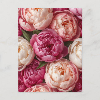 Rosa Pfingstrosen Postkarte