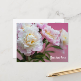 Rosa Pfingstrosen Postkarte