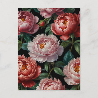 Rosa Pfingstrosen Postkarte