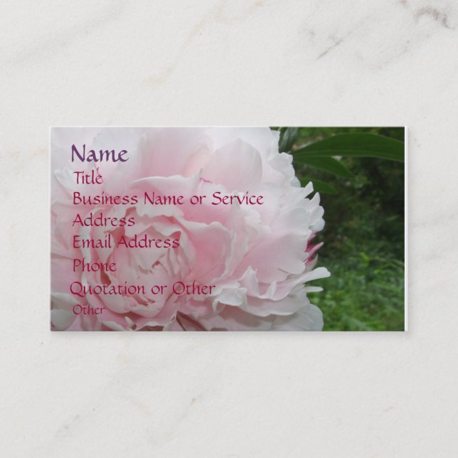 Rosa Pfingstrosen-Profil/Visitenkarte Visitenkarte (Vorderseite)