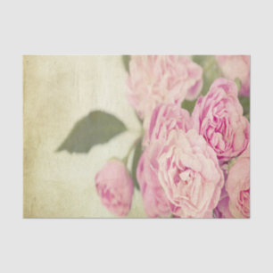 Rosa, Pfingstrosen, Vintag, mit Blumen, Grunge, Seidenpapier
