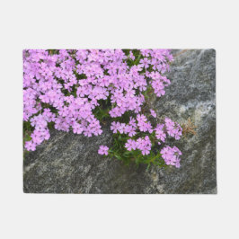 Rosa Phlox auf Steinen Fußmatte
