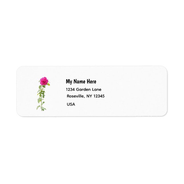 Rosa Pink  (Vorne)