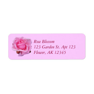 Rosa Pink ausgeschnittenes Foto