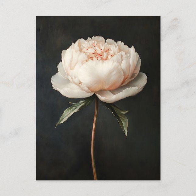 Rosa Pink Botanische Malerei Postkarte (Vorderseite)