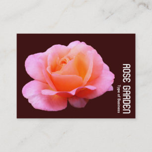 Rosa Pink (Dunkle Schokolade) Visitenkarte