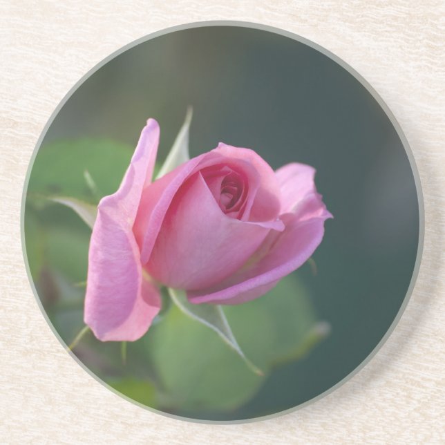 Rosa Pink Getränkeuntersetzer (Vorne)