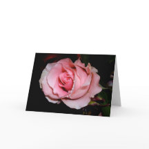 Rosa Pink Karte