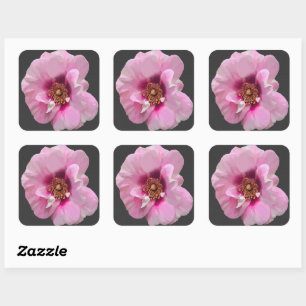 Rosa Pink mit Purple Heart - Ölgemälde Quadratischer Aufkleber