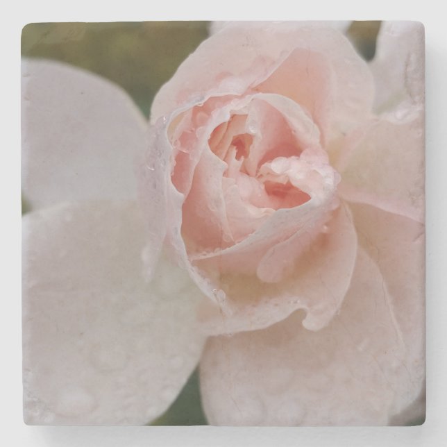 Rosa Pink mit Regentropfen Steinuntersetzer (Vorderseite)