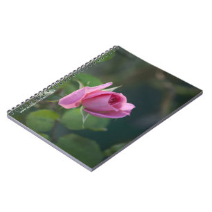 Rosa Pink Notizblock
