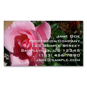 Rosa 'Pink Rose und Knospe' Garten Blumen Magnetische Visitenkarte