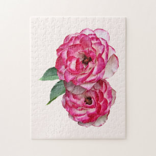 Rosa Pink und Weiß