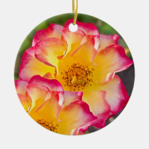 Rosa Pink Yellow Keramik Ornament