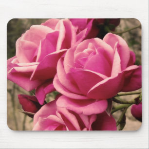 Rosa Pirouetten-Rosen Mousepad