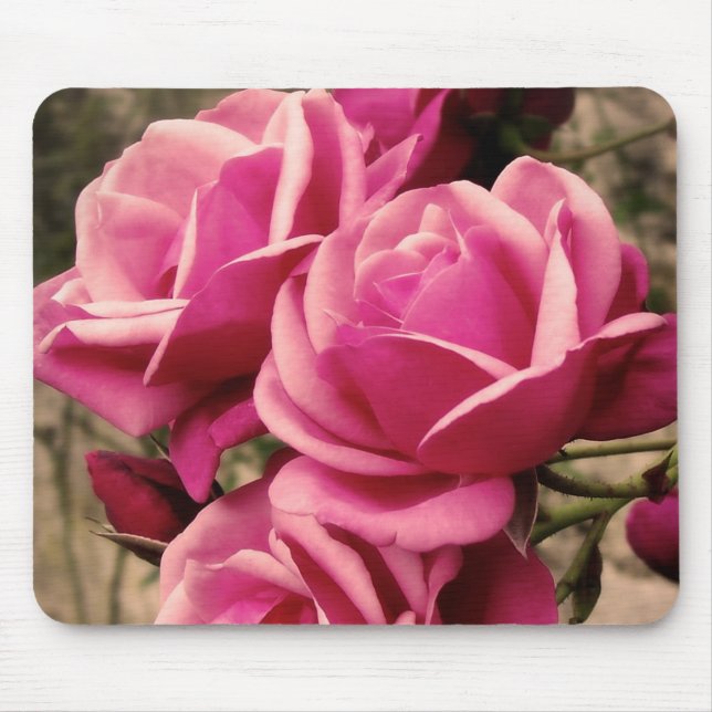 Rosa Pirouetten-Rosen Mousepad (Vorne)