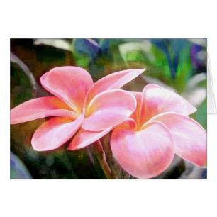 Rosa Plumeria