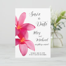 Rosa Plumeria Blume, tropisch, floral Rett Datum