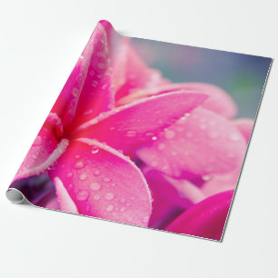 Rosa Plumeria-Lech-Packpapier Geschenkpapier