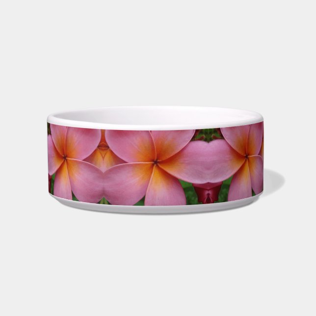 Rosa Plumeria-tropische Blume blüht Napf (Vorderseite)
