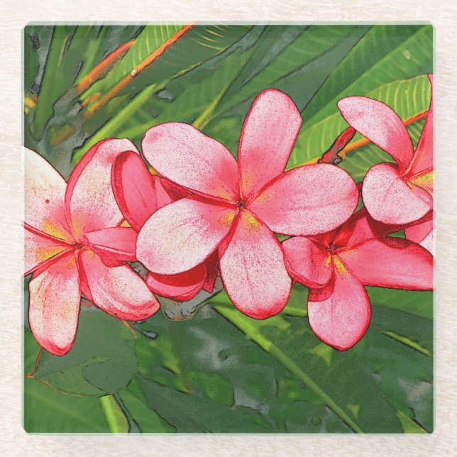 Rosa Plumerias Glasuntersetzer (Vorderseite)