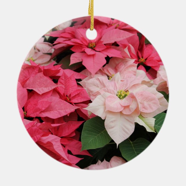 Rosa Poinsettia-Verzierung Keramik Ornament (Hinten)