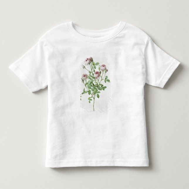 Rosa Pomponia, von 'Les Rosen Kleinkind T-shirt (Vorderseite)