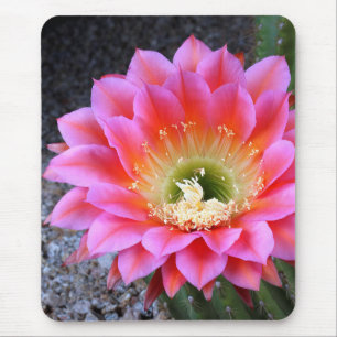 Rosa Pop Mousepad