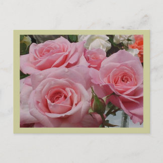 Rosa Postkarte